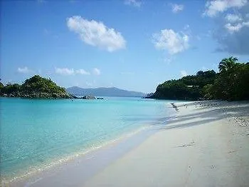 Reef Madness Hotel Saint John Island Villa Coral Bay